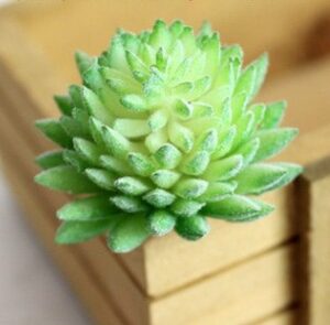 Indoor Succulent Green Plants Simulation Plants Decorative Flowers And Plants